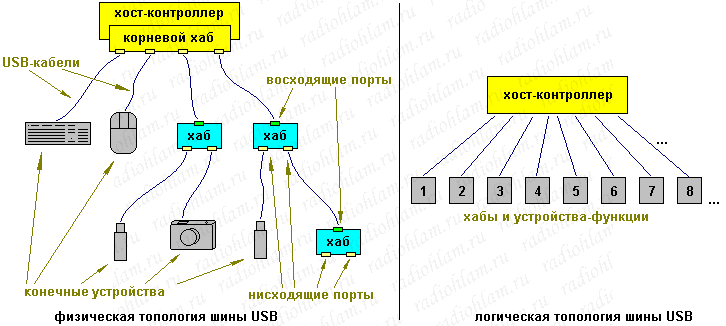 Физическая и логическая топология шины USB